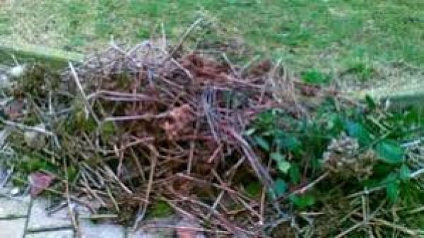  RIAPERTURA DELL'AREA SFALCI COMUNALE 